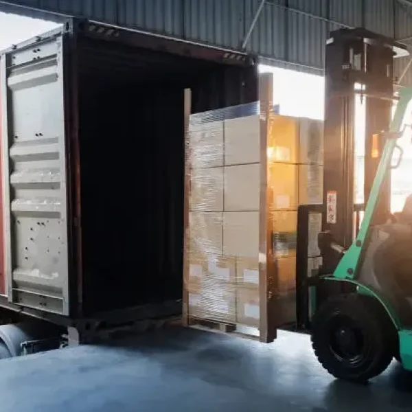 istockphoto-1336433544-612x612